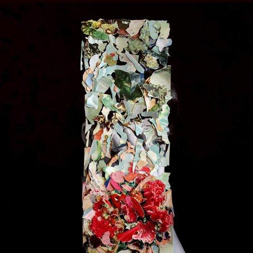 Foxtrott - A Taller Us - Cd