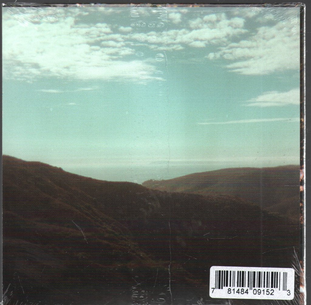 Ty Segall - Possession - Cd