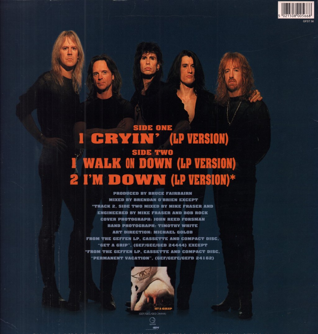 Aerosmith - Cryin - 12 Inch