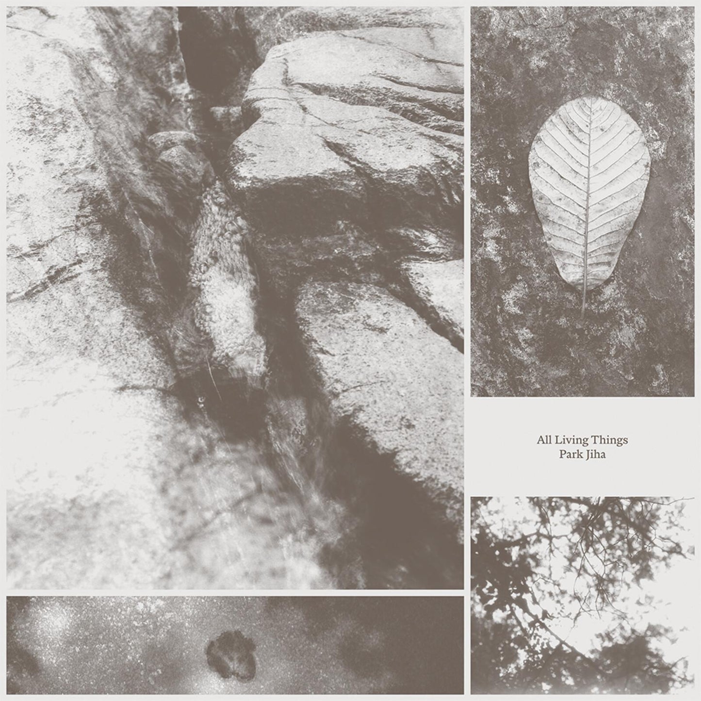 Park Jiha - All Living Things - Lp