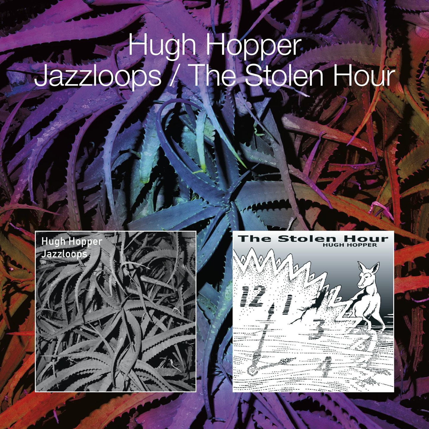 Hugh Hopper - Jazzloops / the Stolen Hour - Double Cd