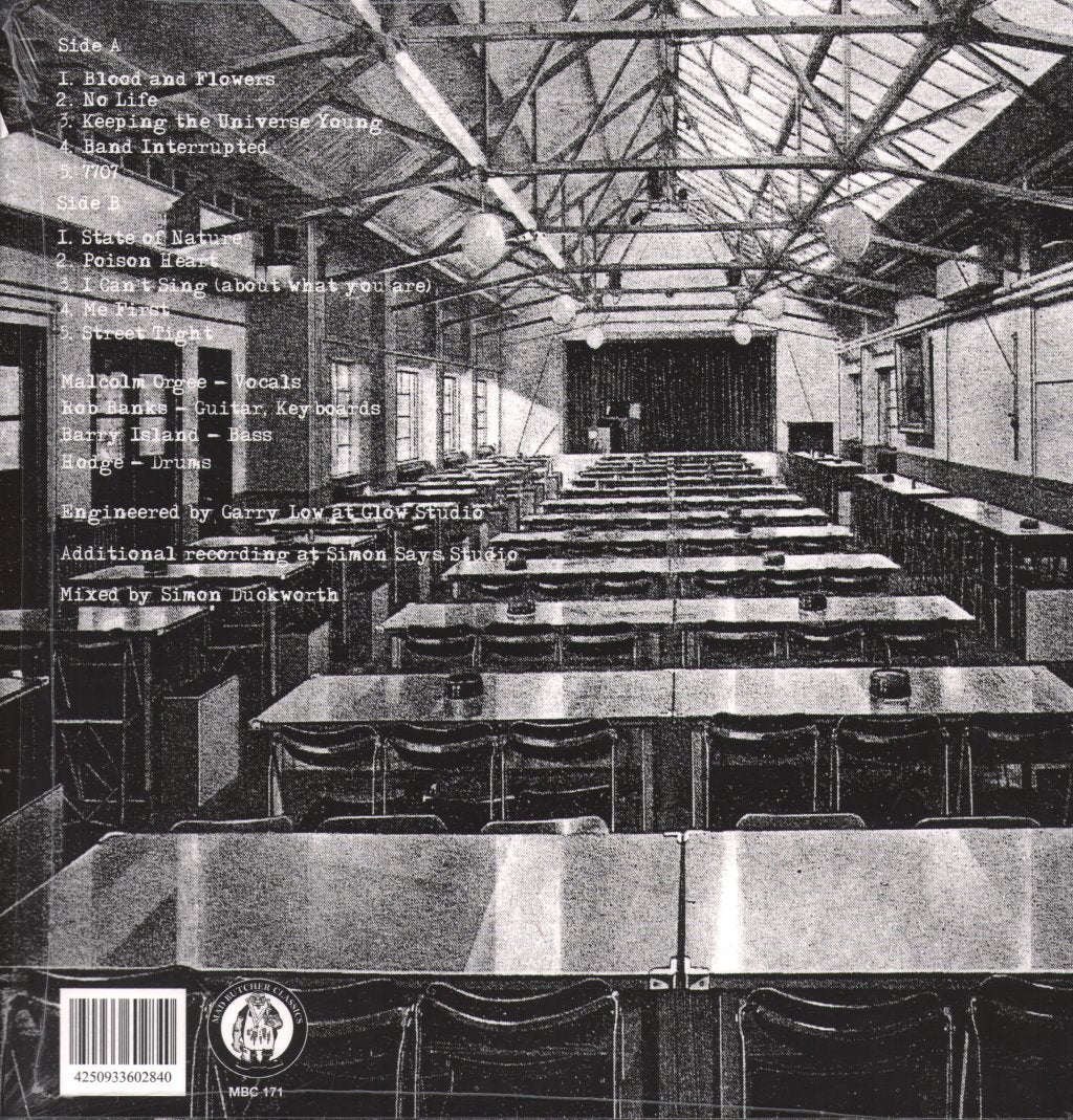 Tights - TV, Work & Bed - Lp