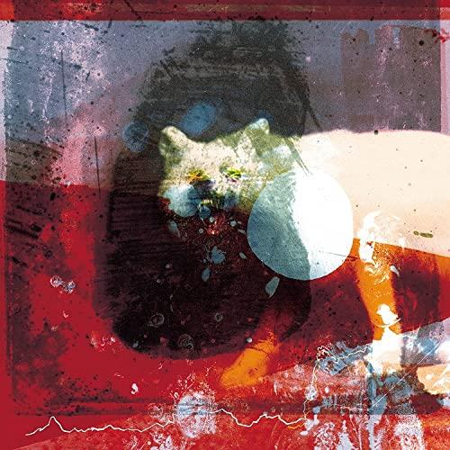 Mogwai - As the Love Continues - Double Lp