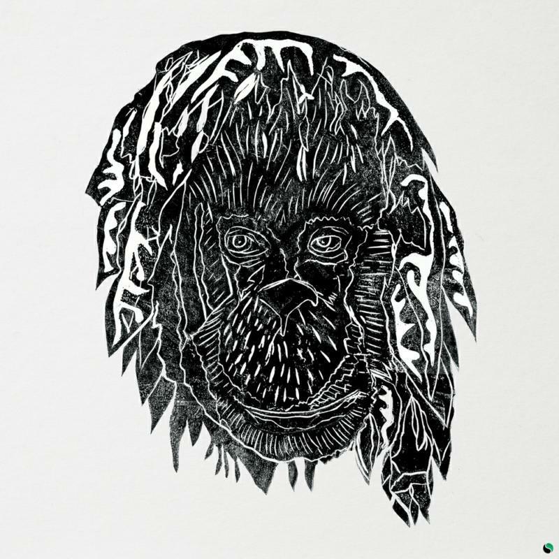 Alpha Steppa - Raise the Ark - Double Lp