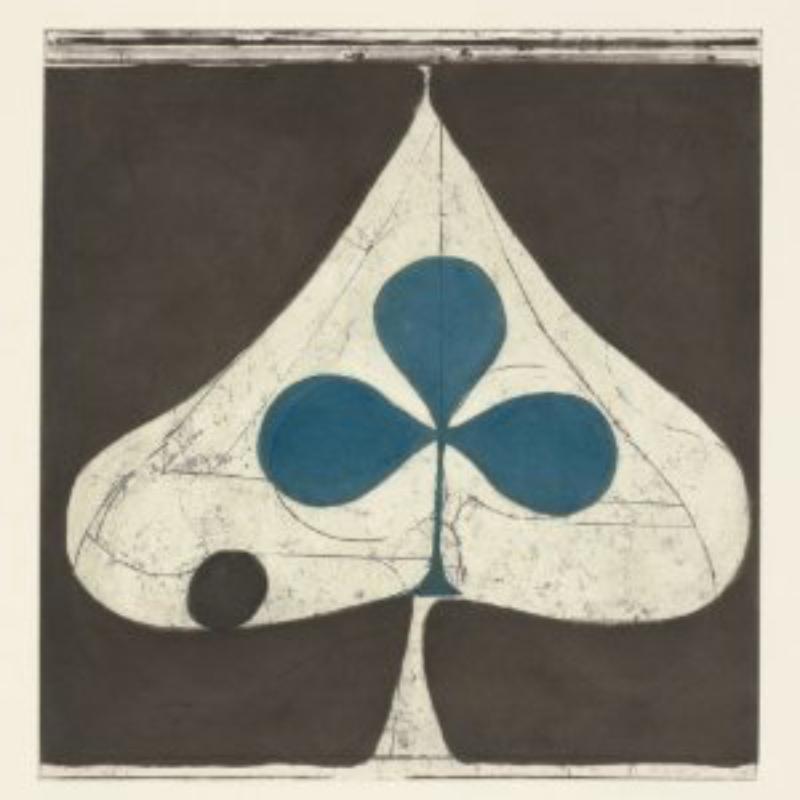 Grizzly Bear - Shields - Cd