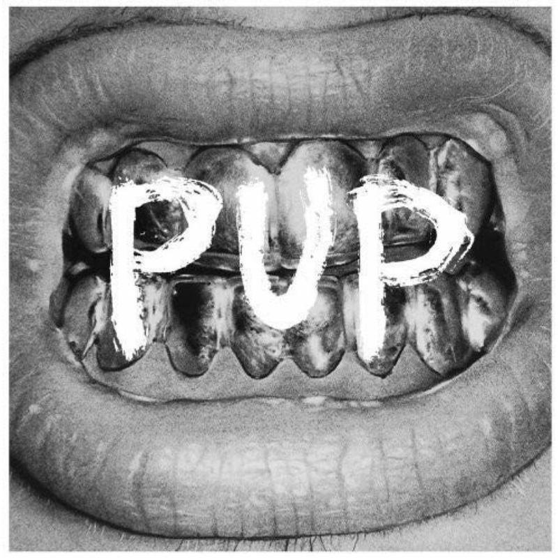 Pup - Pup - Lp