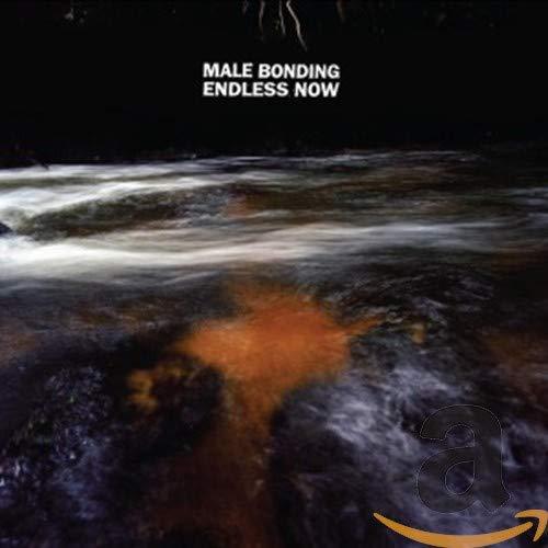 Male Bonding - Endless Now - Cd