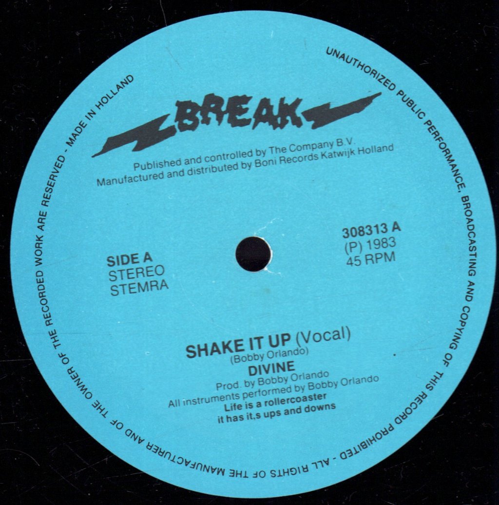Divine (Disco) - Shake It Up - 12 Inch