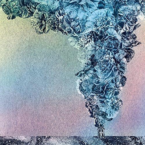 Daughn Gibson - Carnation - Lp