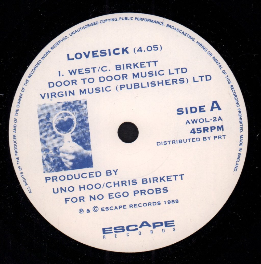 Bushbabies - Lovesick - 7 Inch