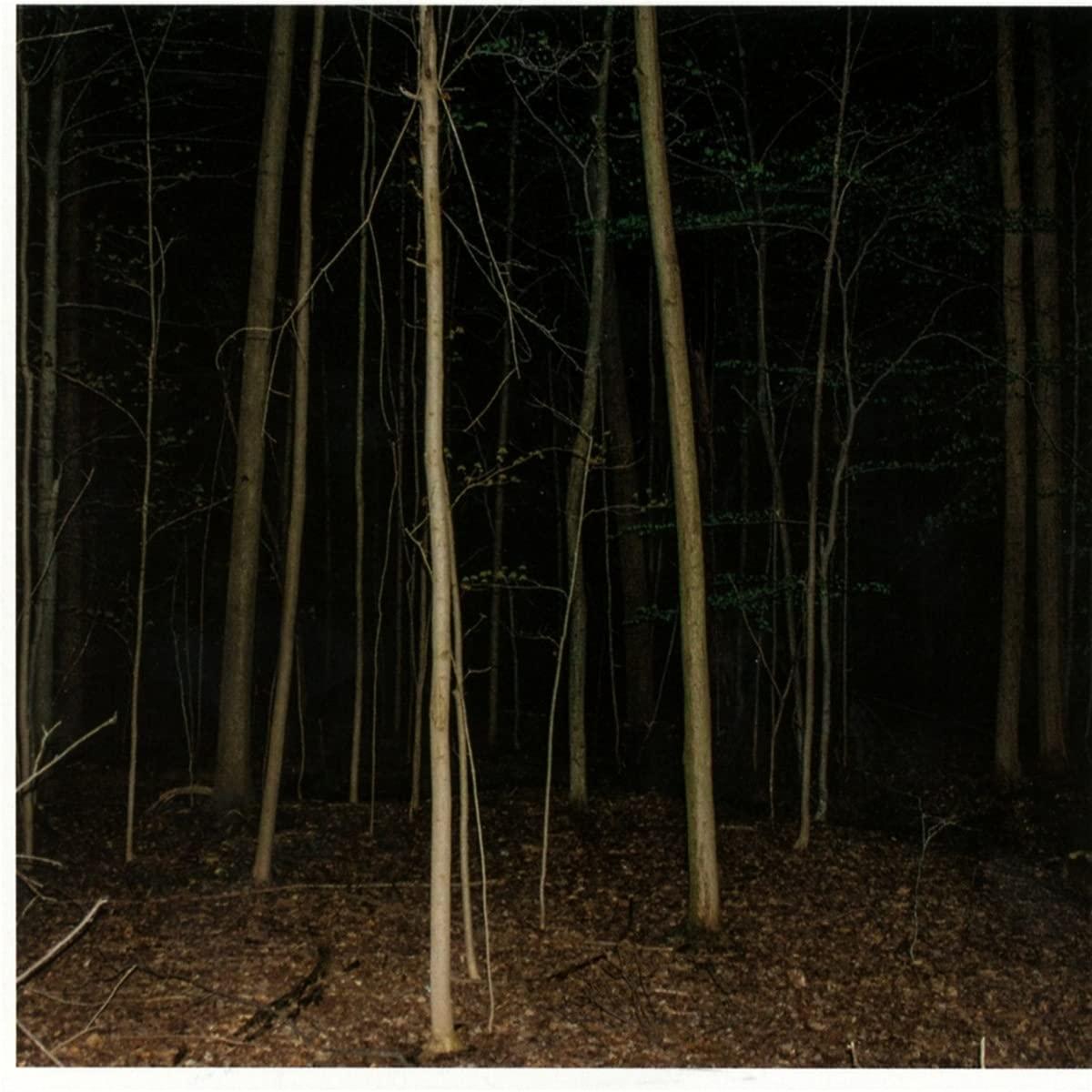 Express Rising - Fixed Rope II - Cd