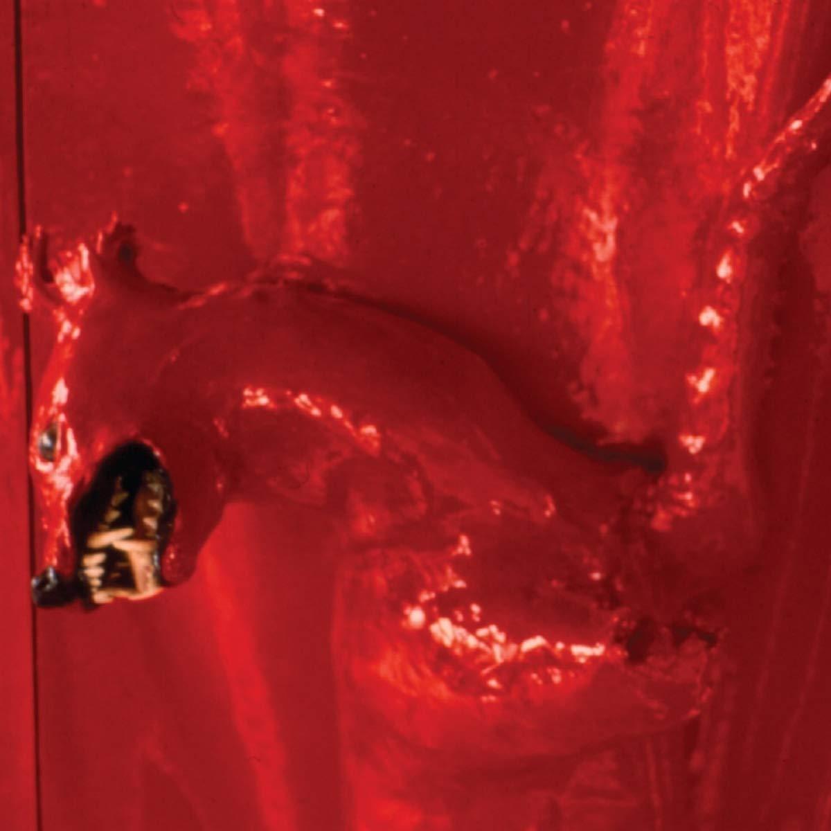 William Basinski - A Red Score In Tile - Cd