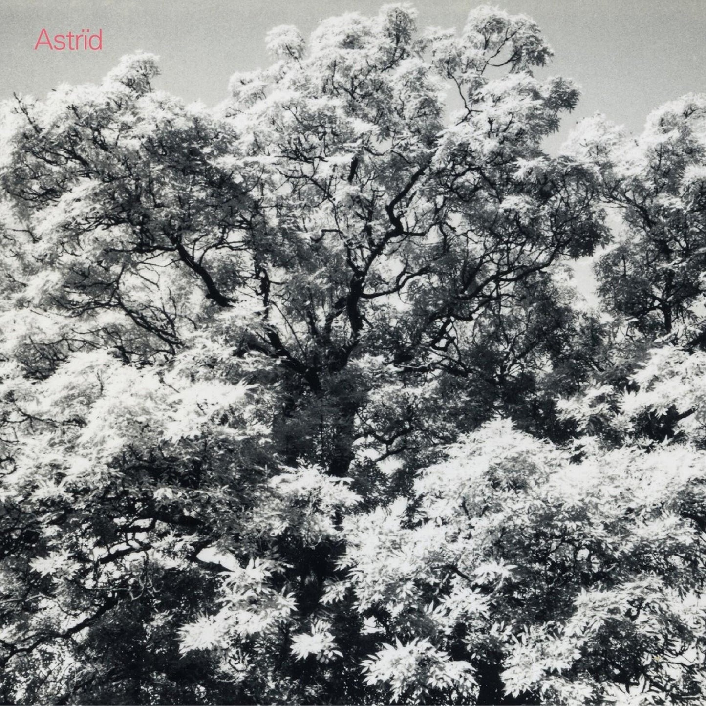 Astrid (Scottish Indie Group) - Always Digging the Same Hole - Cd
