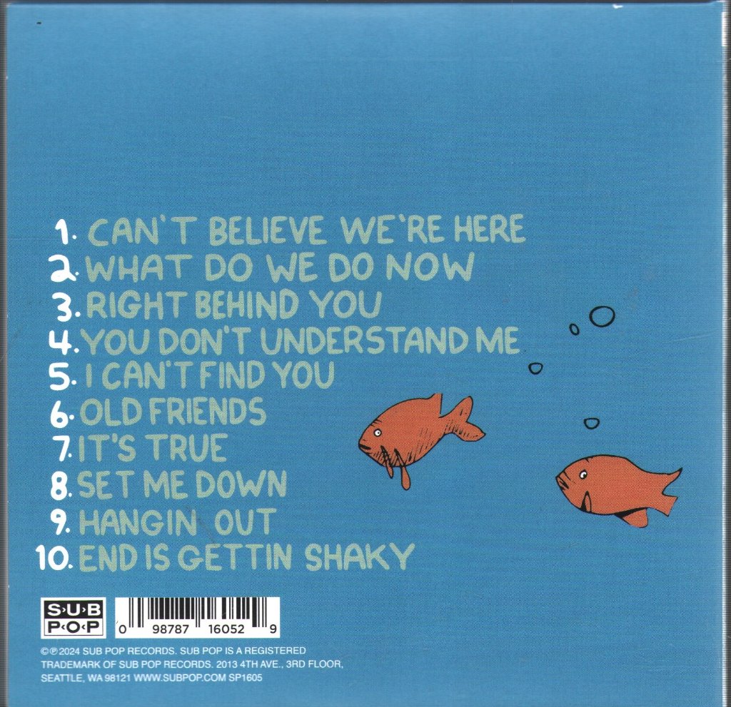 J Mascis - What Do We Do Now - Cd