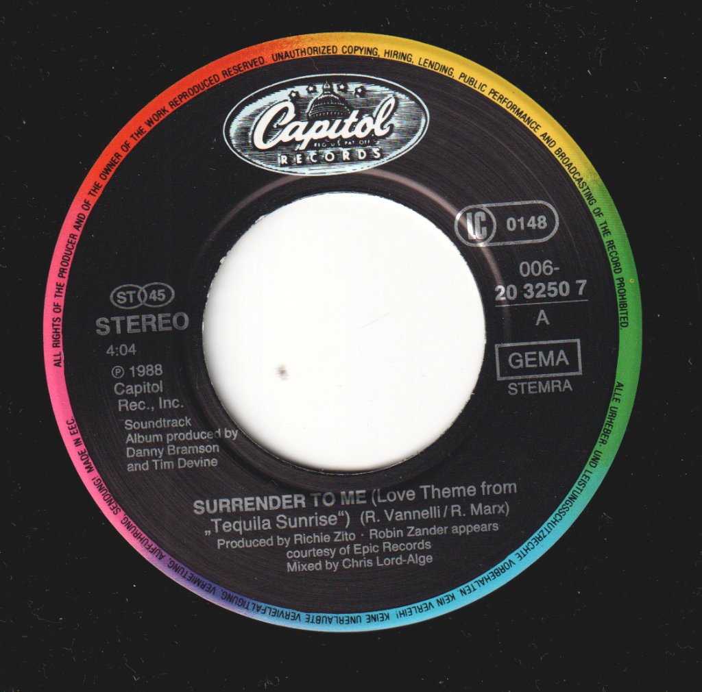 Ann Wilson - Surrender To Me - 7 Inch
