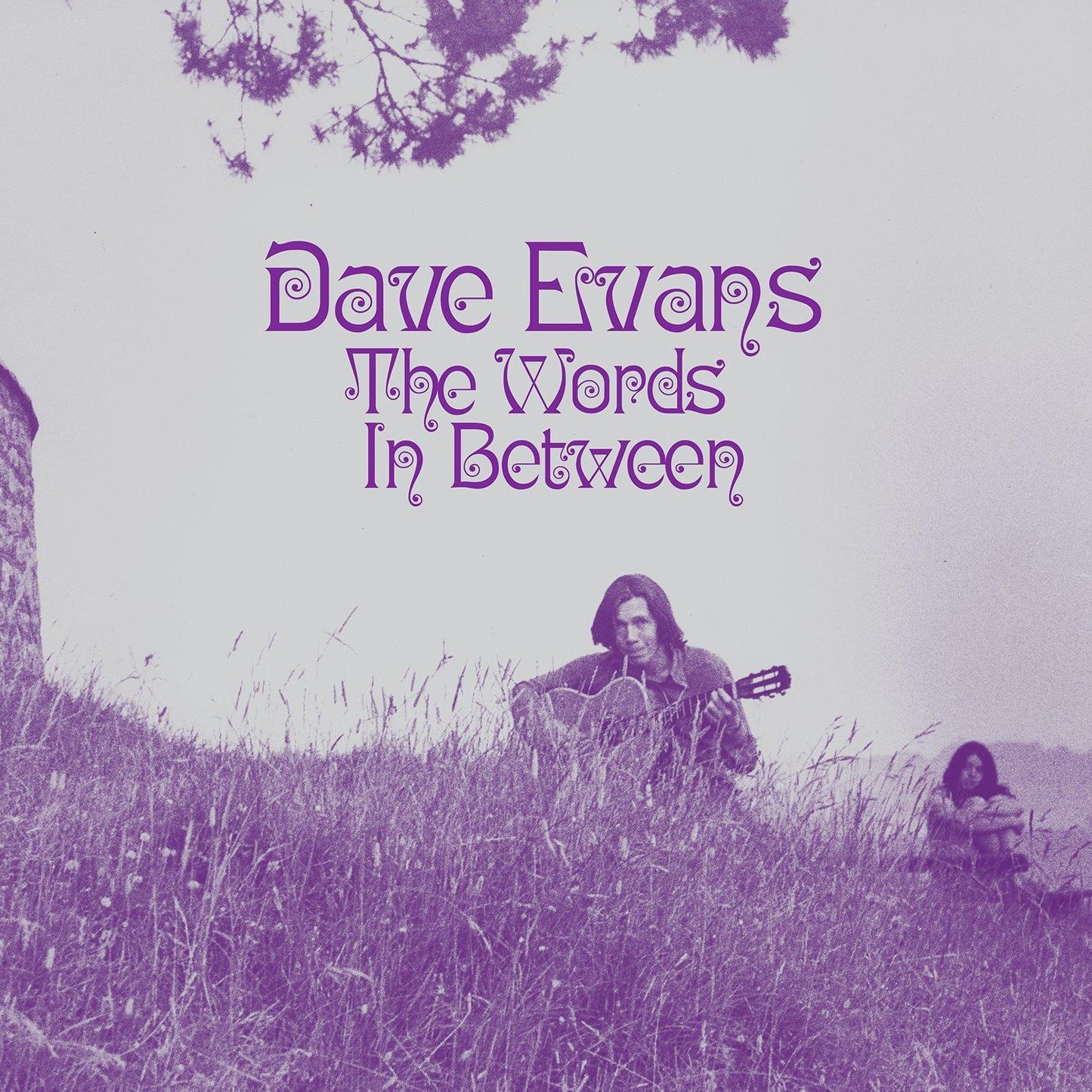 Dave Evans - Words Inbetween - Cd