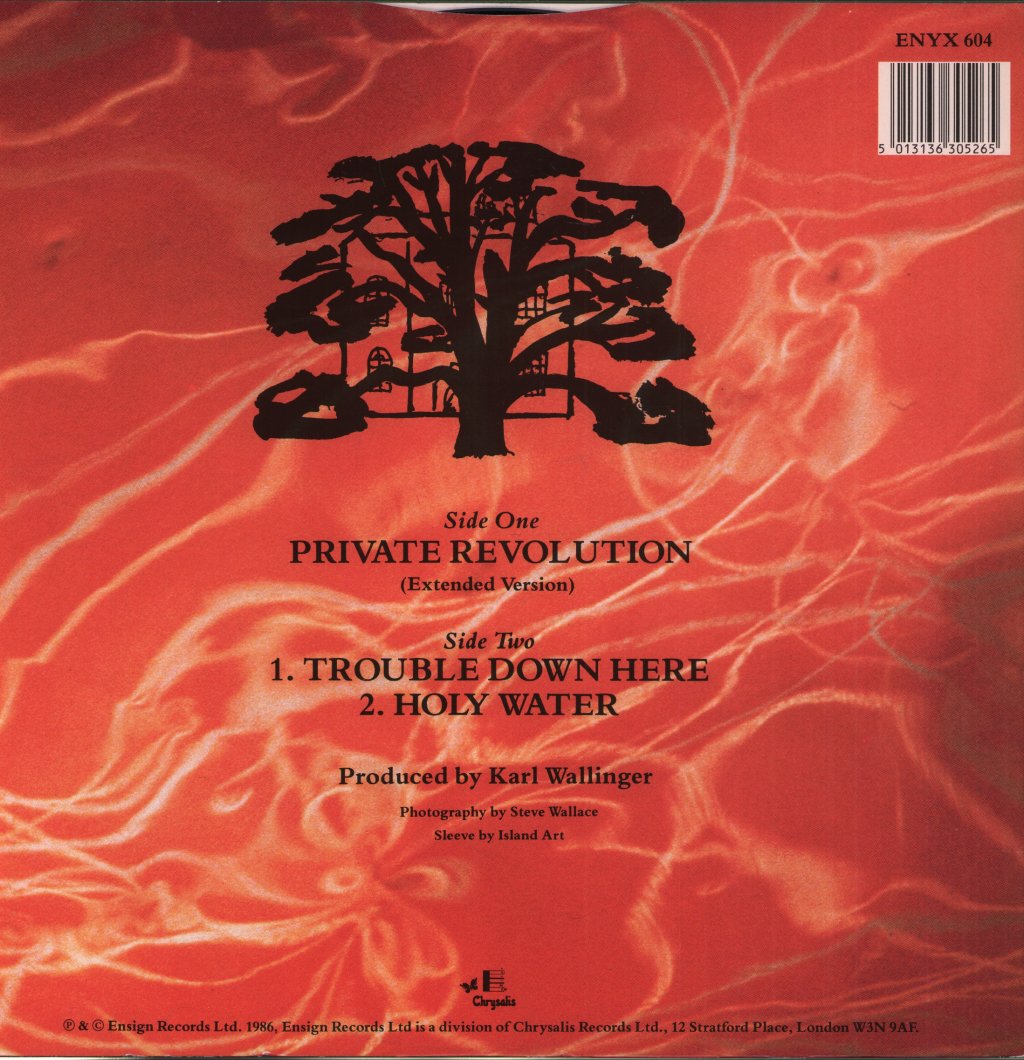 World Party - Private Revolution - 12 Inch