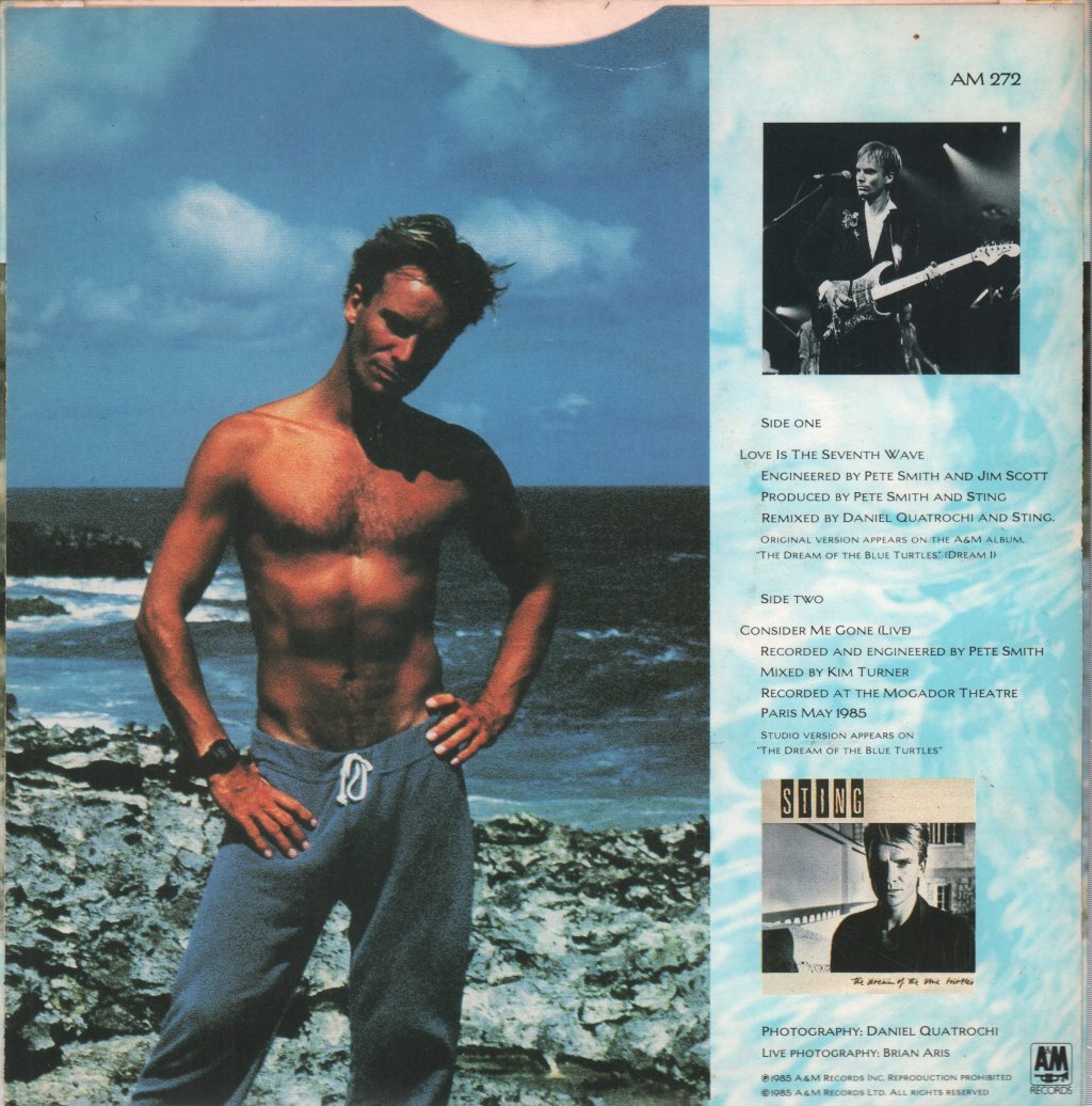 Sting - Love Is The Seventh Wave - 7 Inch