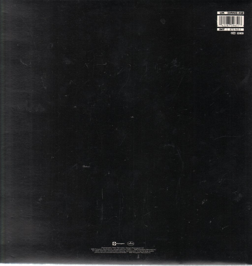 Dan Reed Network - Stardate 1990 - 12 Inch