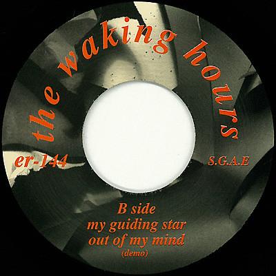 Waking Hours - Nothing To Hide - 7 Inch
