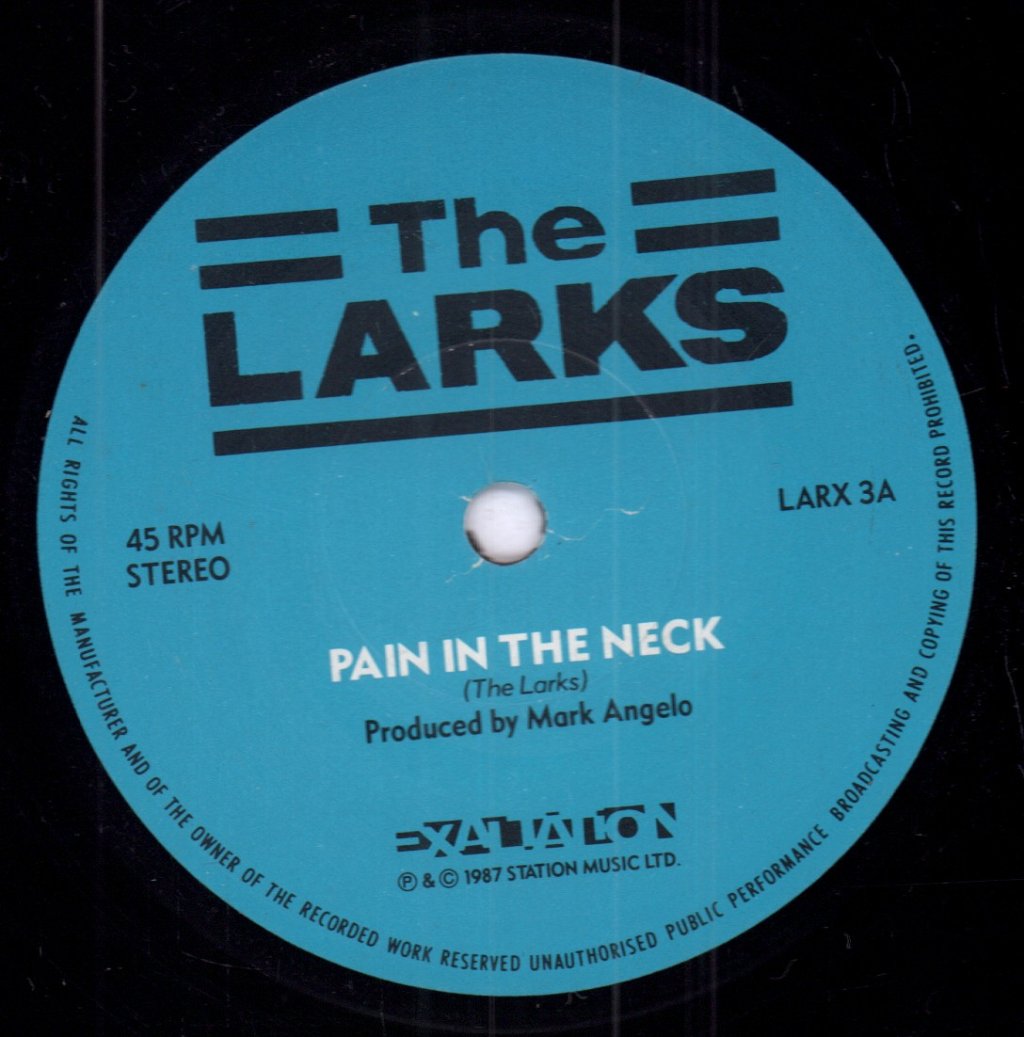 Larks (Indie) - Pain In The Neck - 7 Inch
