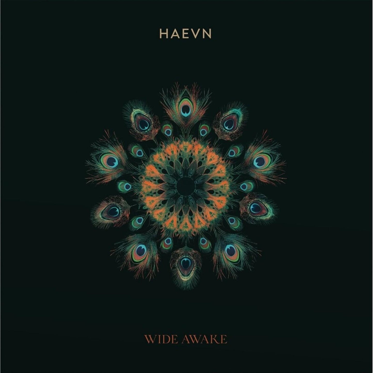 Haevn - Wide Awake - Lp