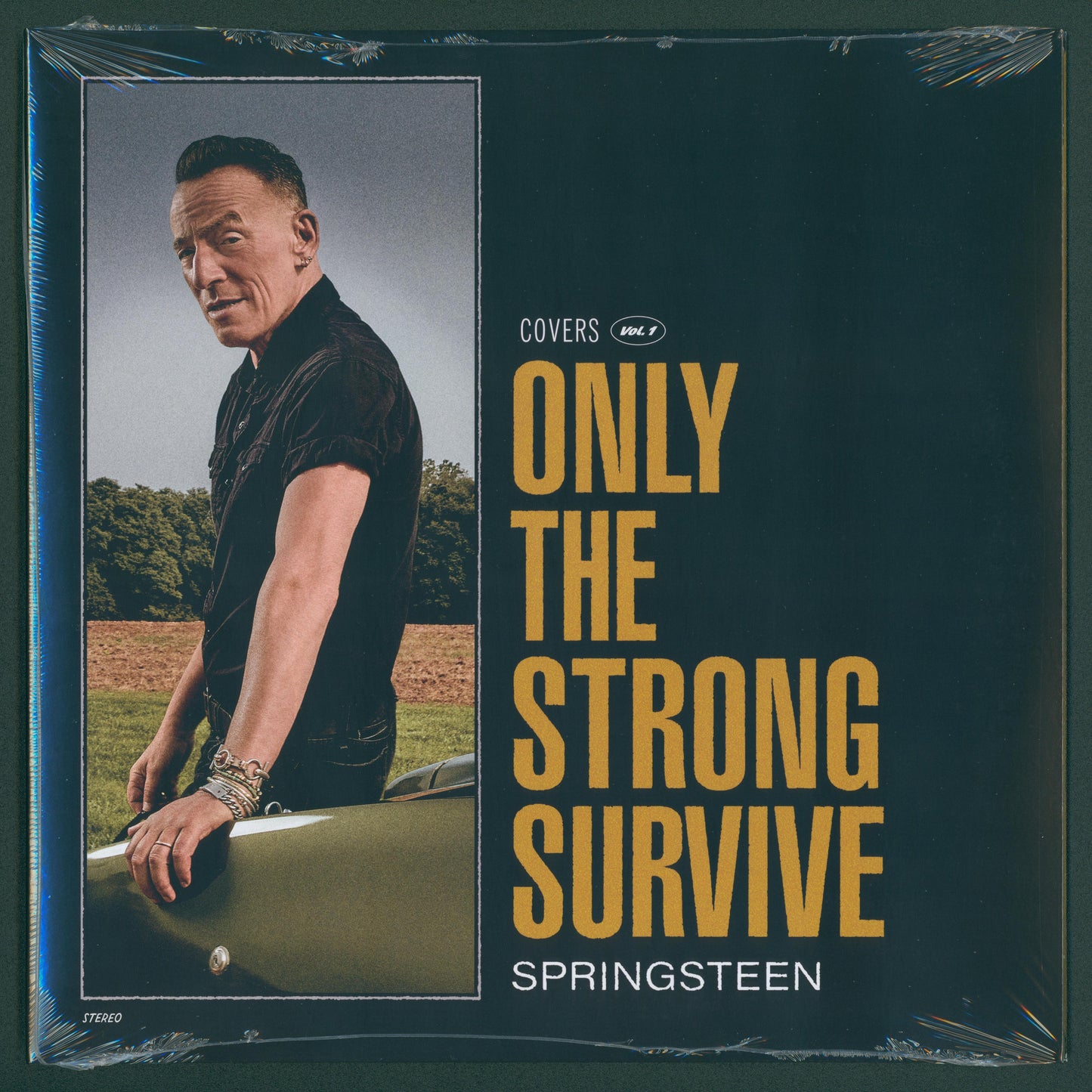 Bruce Springsteen - Only the Strong Survive (Covers Vol. 1) - Double Lp