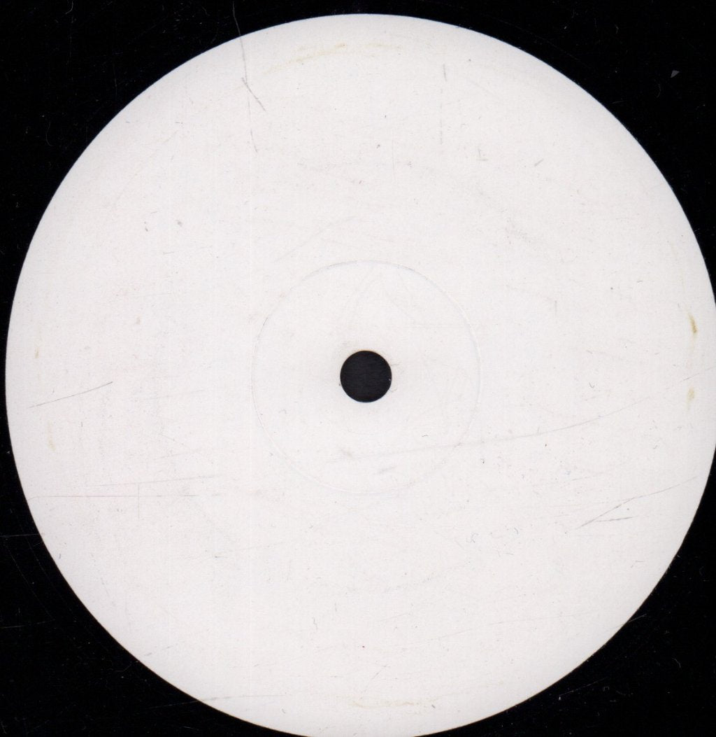 Fedde Le Grand - Put Your Hands Up For Detroit - 12 Inch