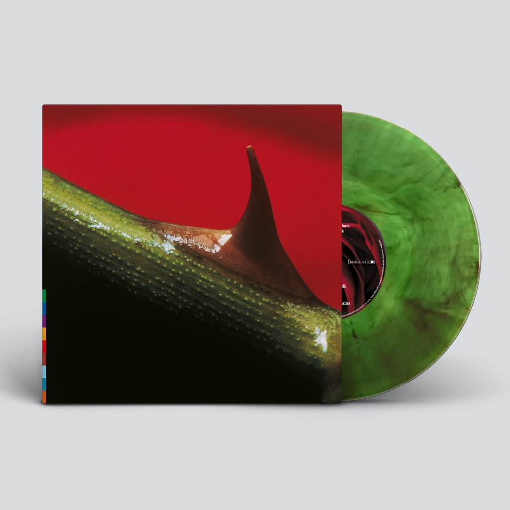 Nusrat Fateh Ali Khan And Michael Brook - Night Song - 30th Anniversary Edition - Lp
