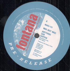 Was Not Was - Anything Can Happen - 12 Inch