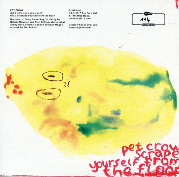 Pet Crow - How Are You Wired - 7 Inch