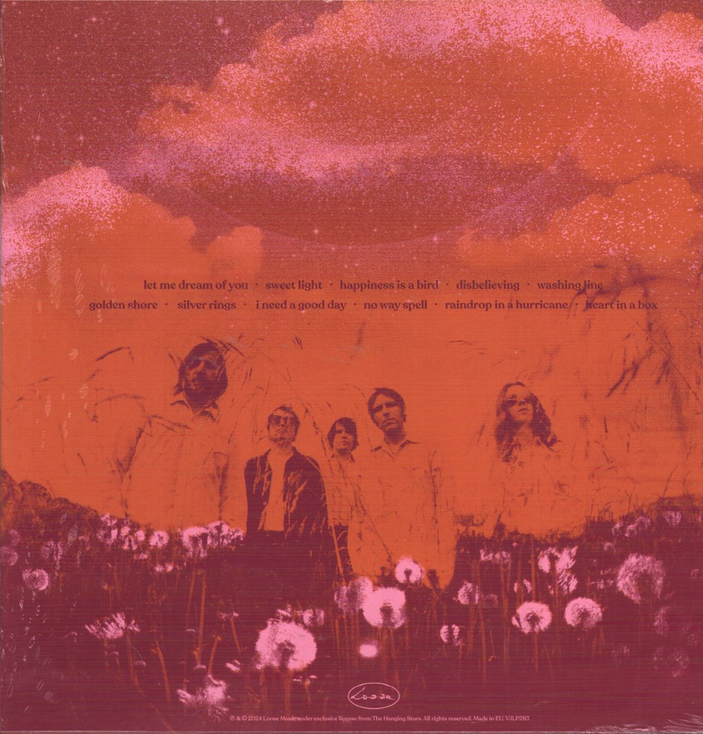 Hanging Stars - On A Golden Shore - Lp