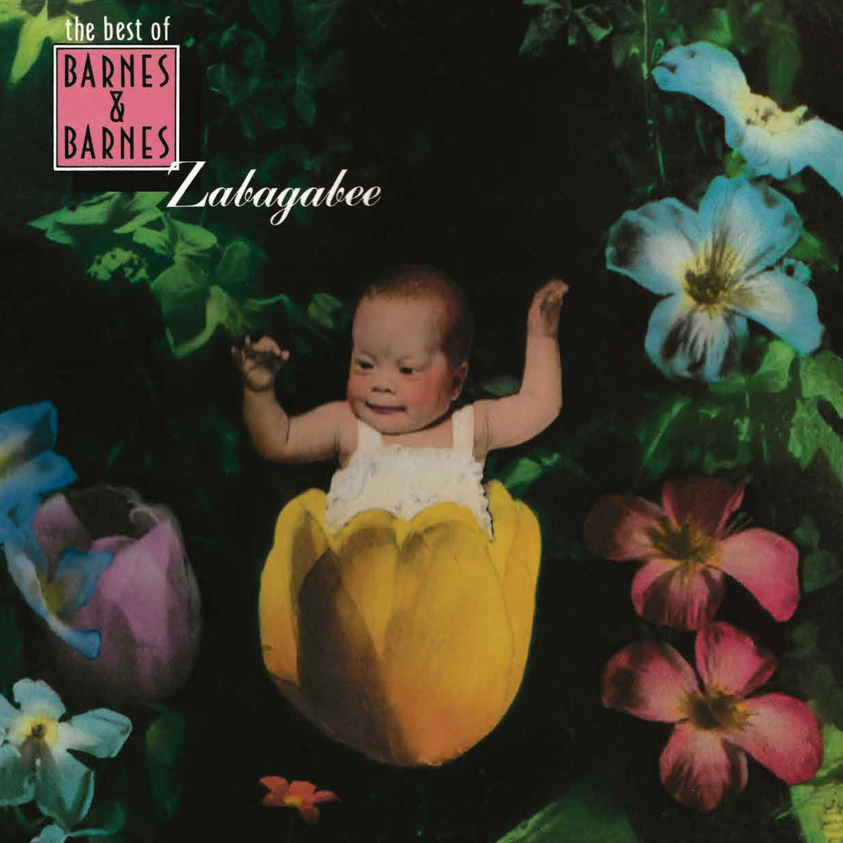Barnes And Barnes - Zabagabee: the Best of Barnes & Barnes - Lp