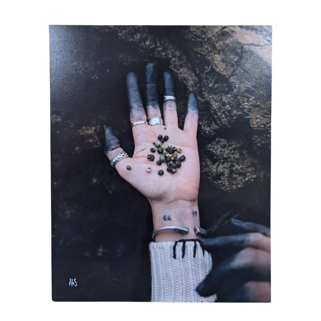 Anna B Savage - You & i are Earth - Lp