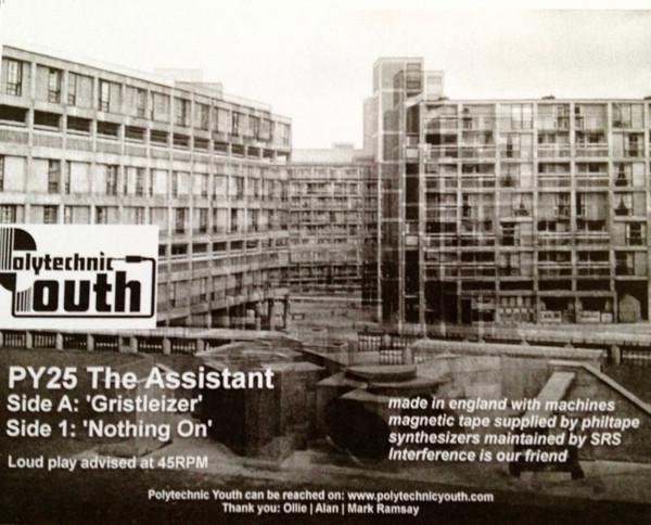 Assistant - Gristleizer / Nothing On - 12 Inch