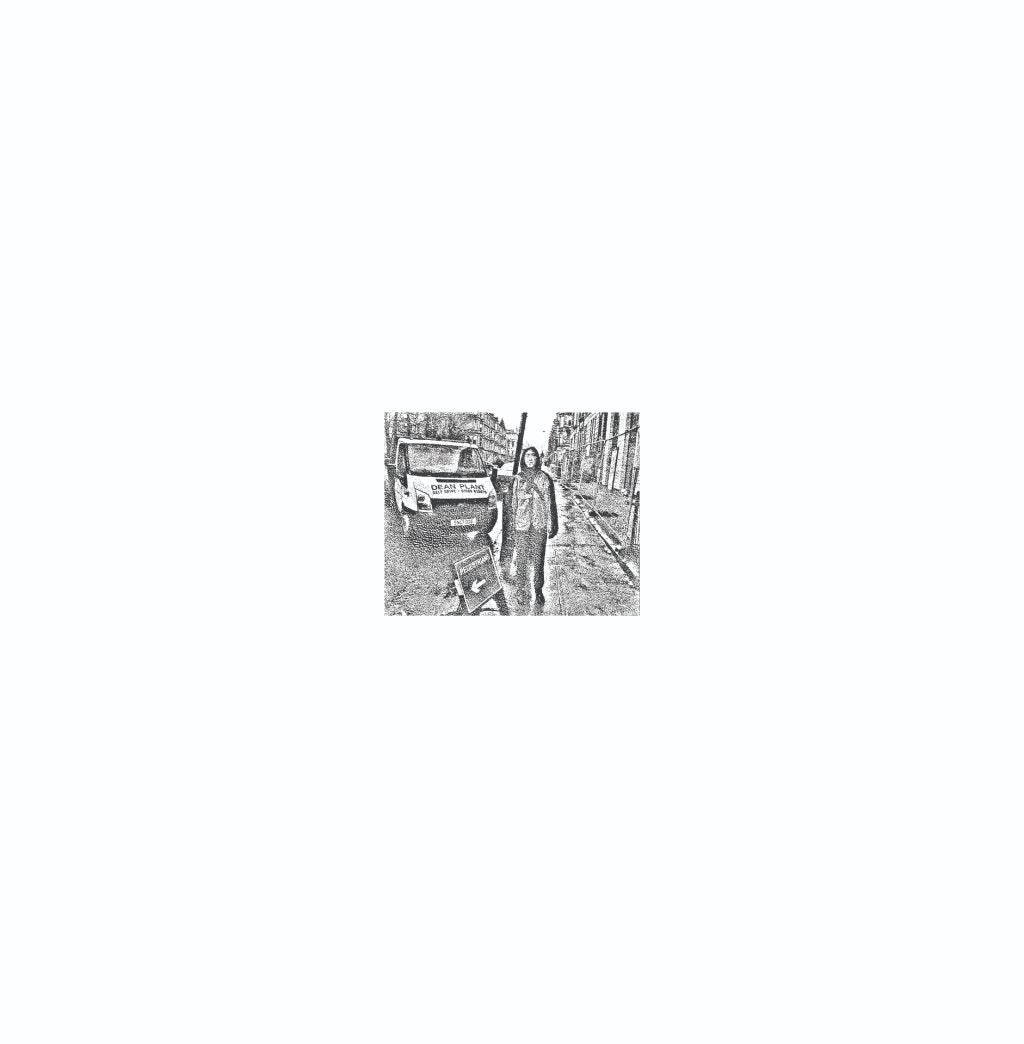 Still House Plants - Still House Plants - 10 Inch