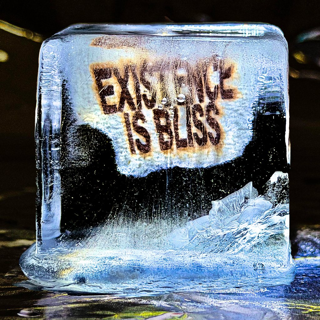DEADLETTER - Existence is Bliss - Cd