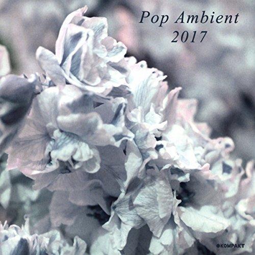Various Artists - Pop Ambient 2017 - Cd