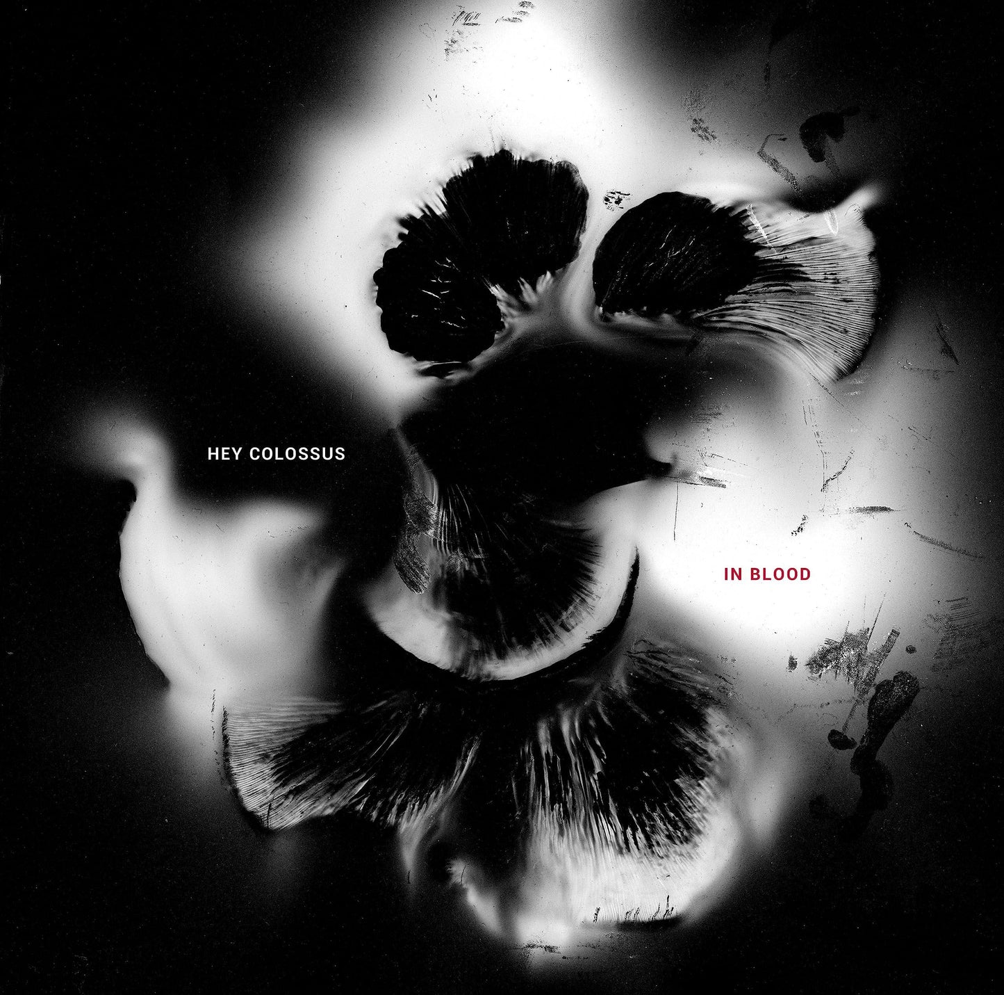 Hey Colossus - In Blood - Cd