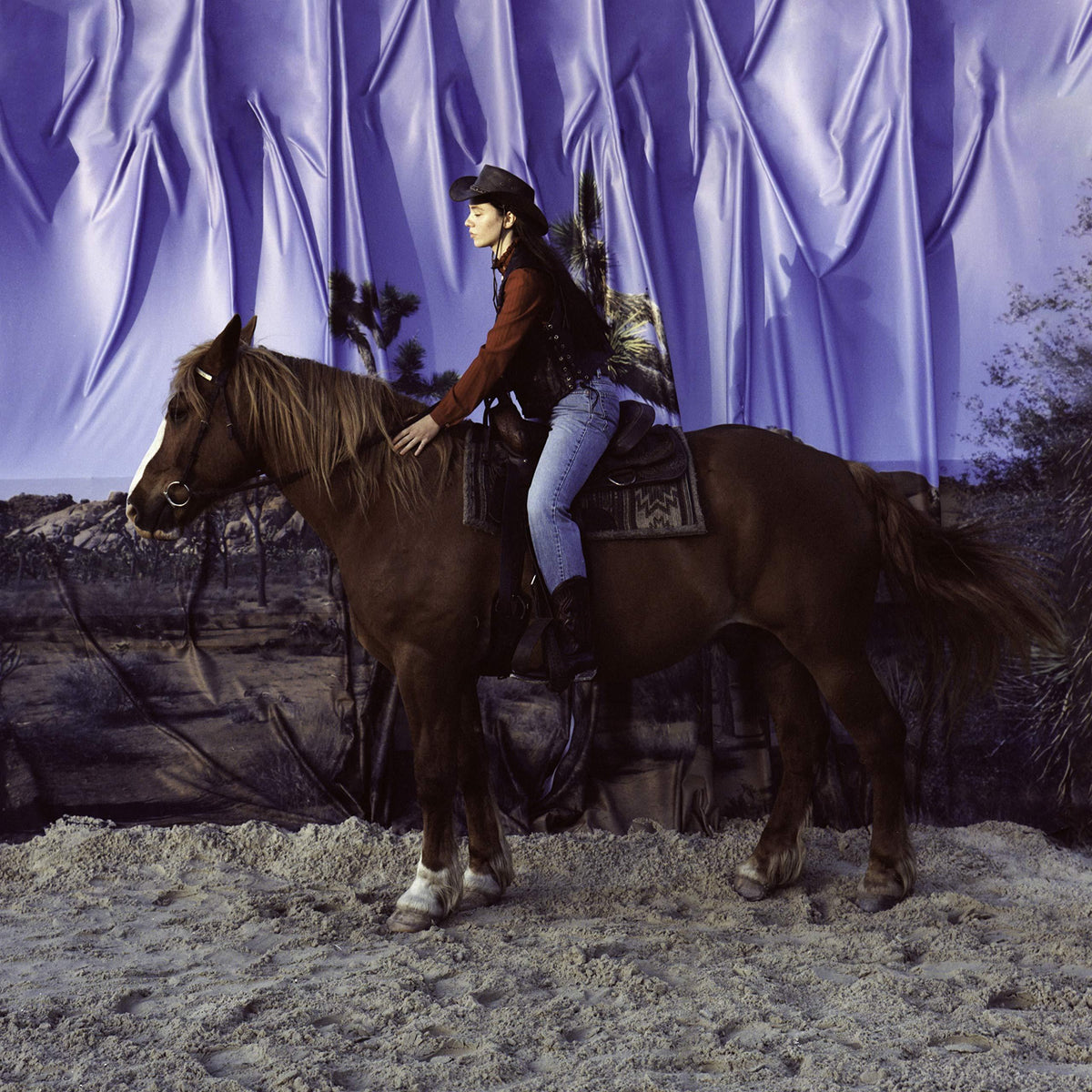 Holy Motors - Horse - Lp