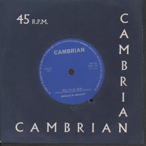 Hogiau'r Deulyn - Rho I'm Dy Serch - 7 Inch