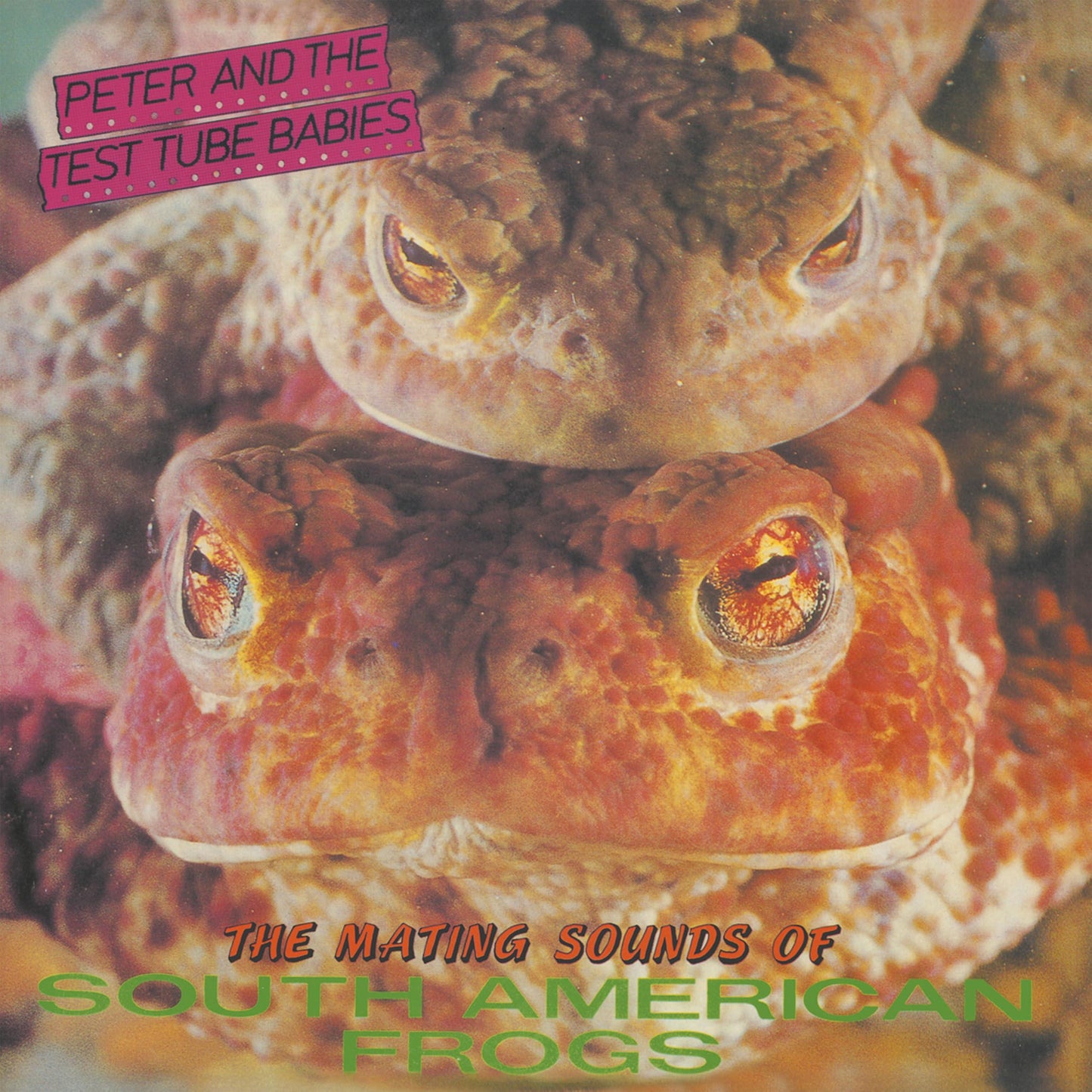 Peter And The Test Tube Babies - Mating Sounds of South American Frogs - 12 Inch