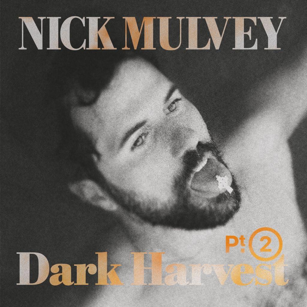 Nick Mulvey - Dark Harvest Pt. 2 - Cd