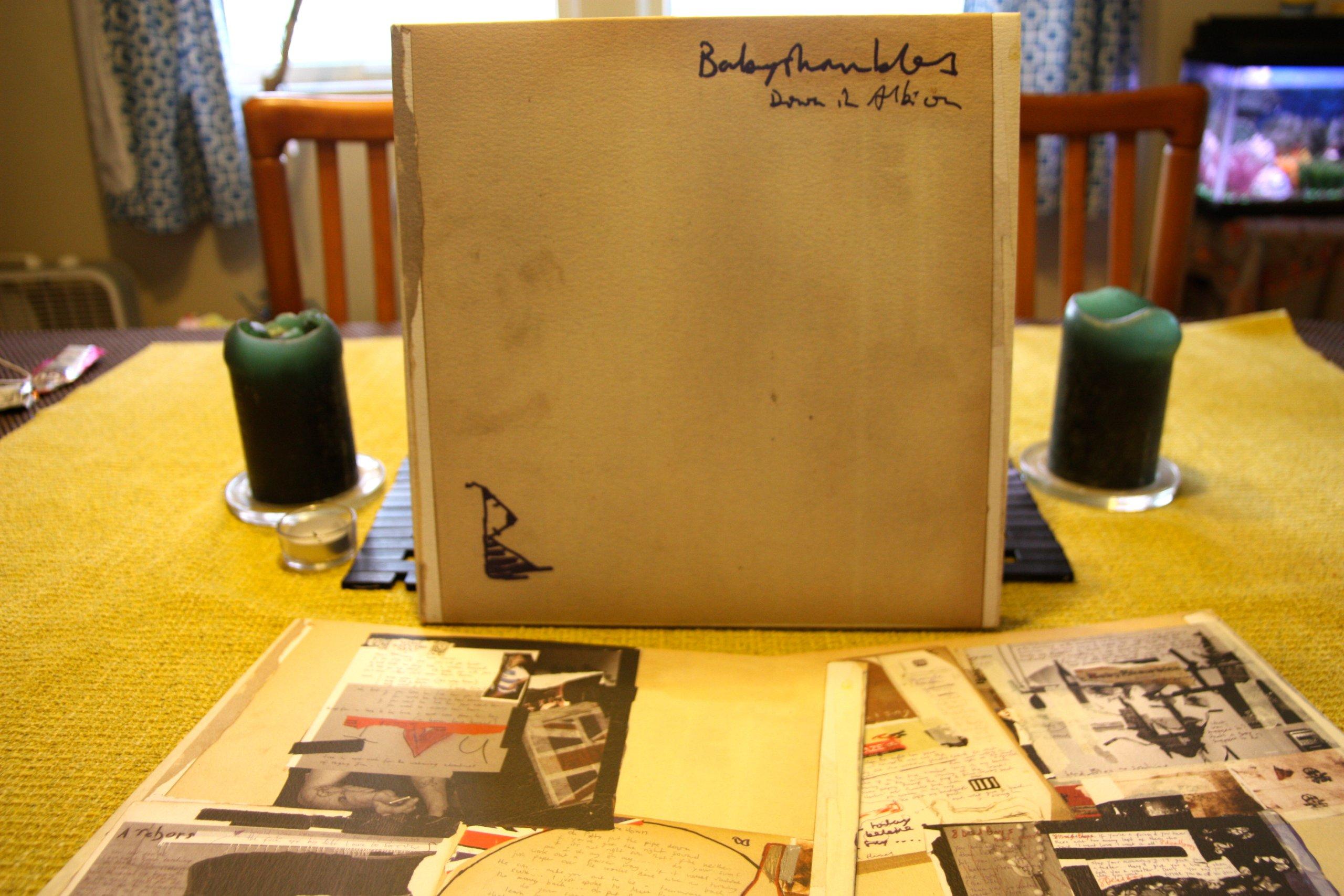 Babyshambles - Down In Albion - Double Lp – Vinyl Tap
