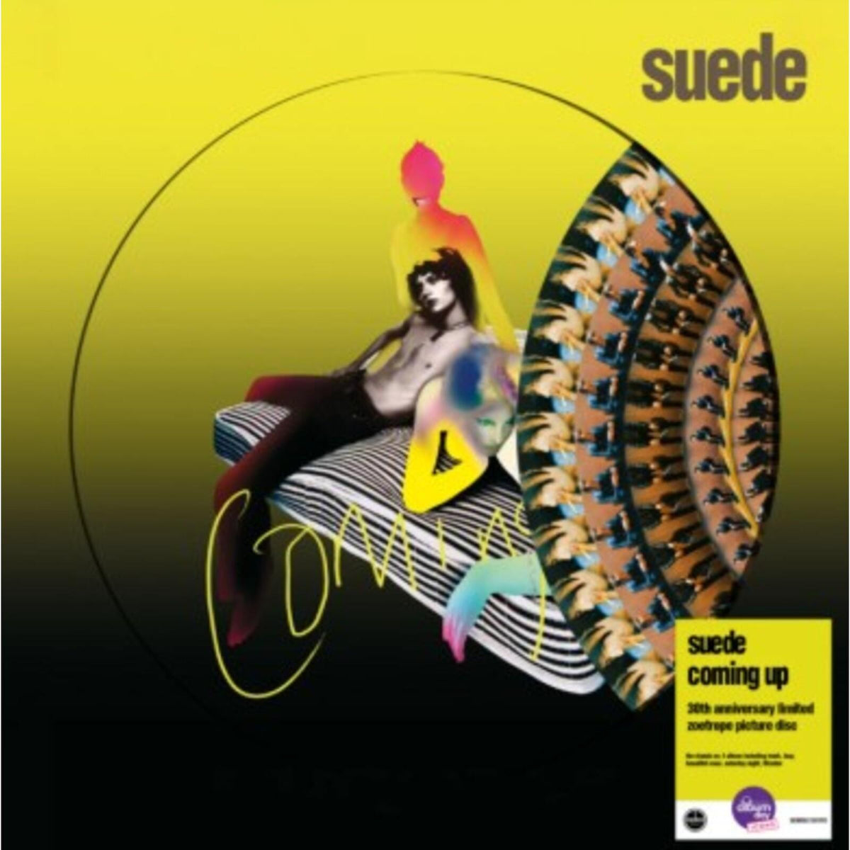 Suede - Coming Up (National Album Day 2026) - Lp