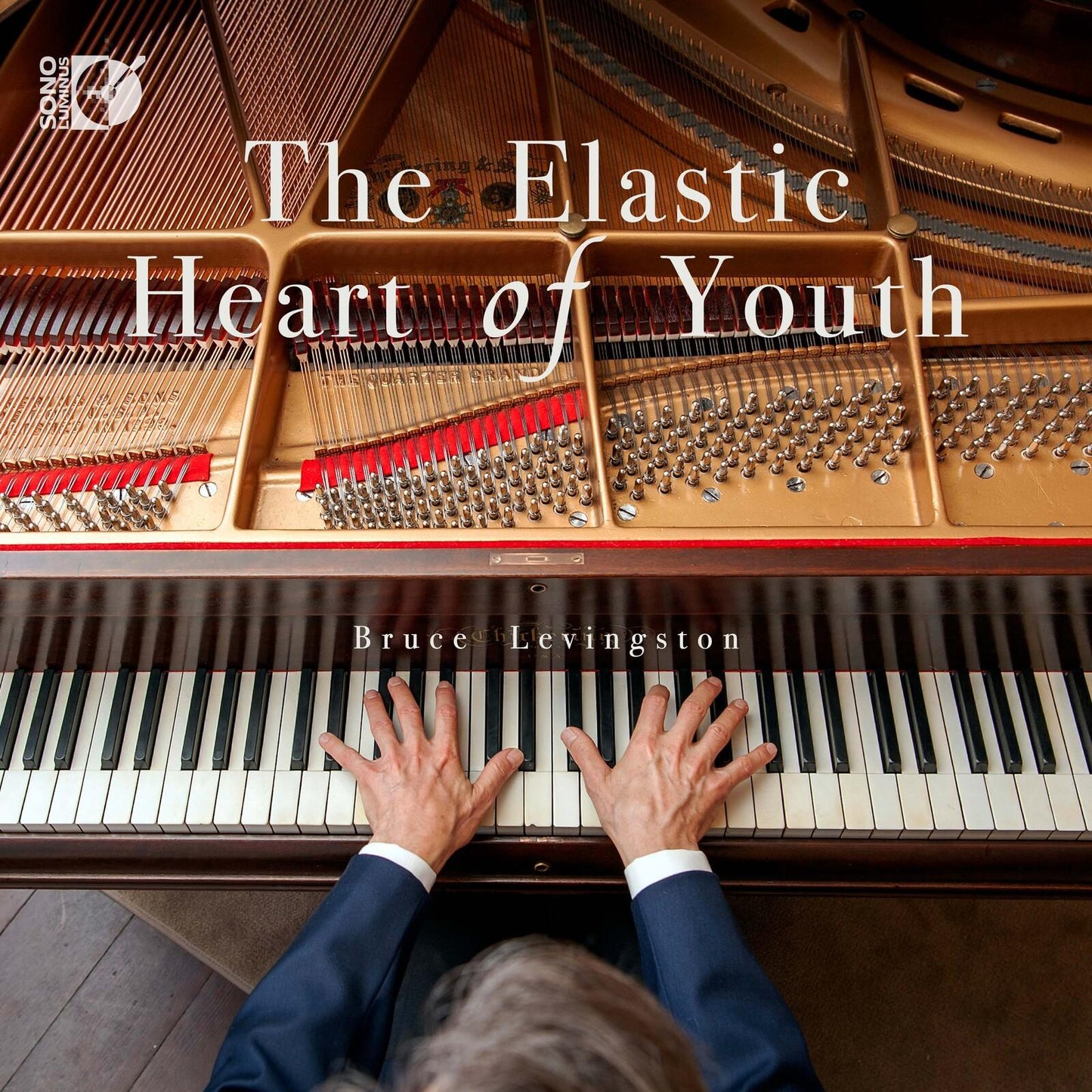Bruce Levingston - Elastic Heart of Youth - Cd