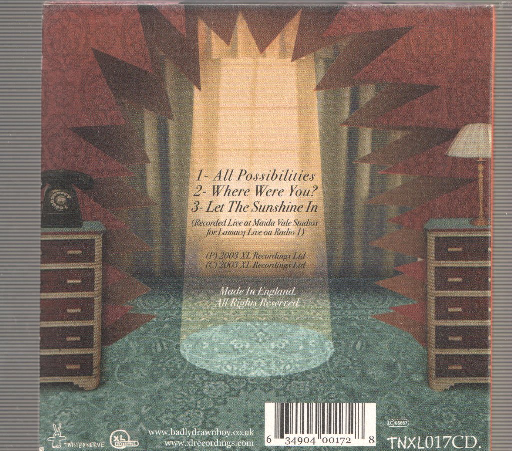 Badly Drawn Boy - All Possibilities - Cd