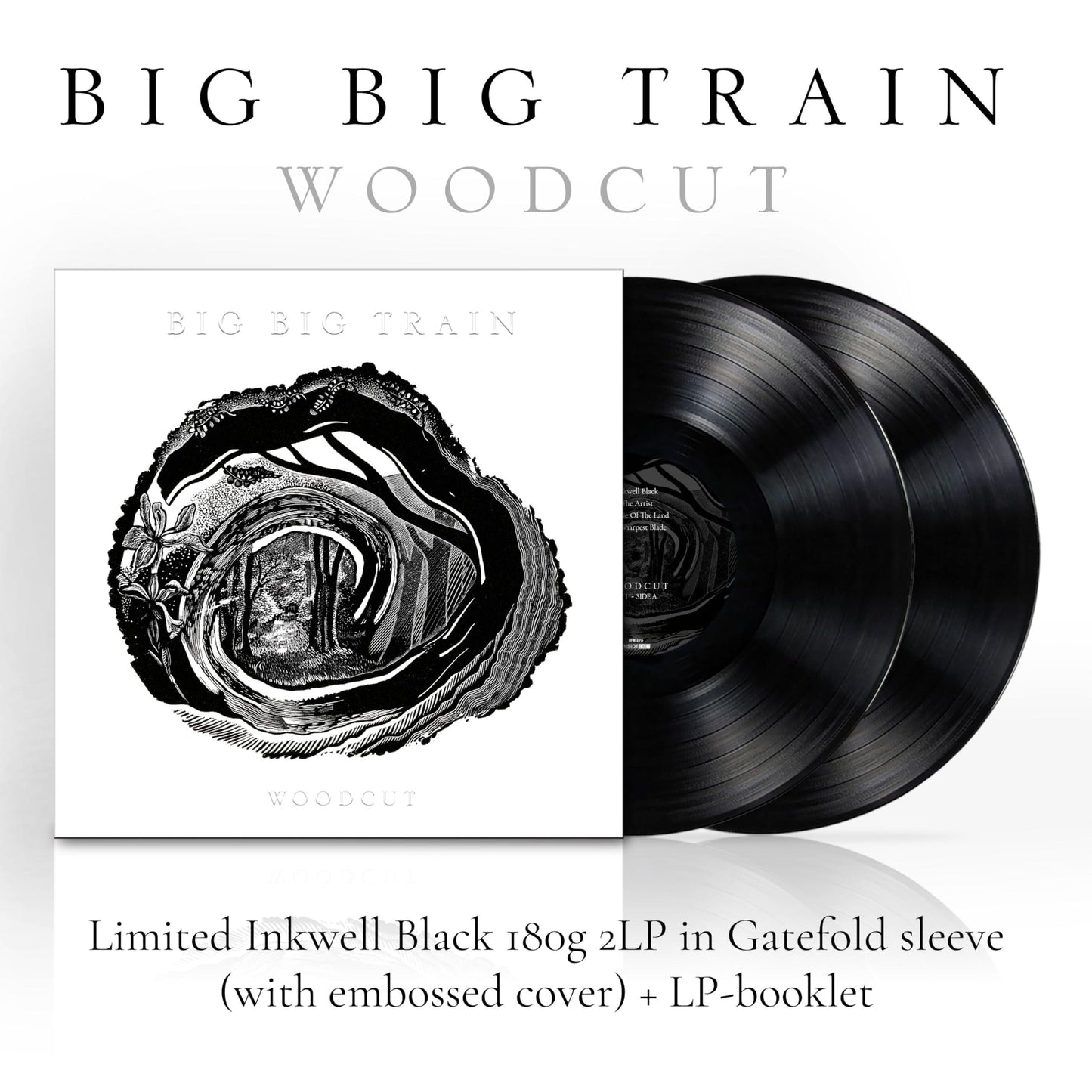 Big Big Train - Woodcut - Double Lp