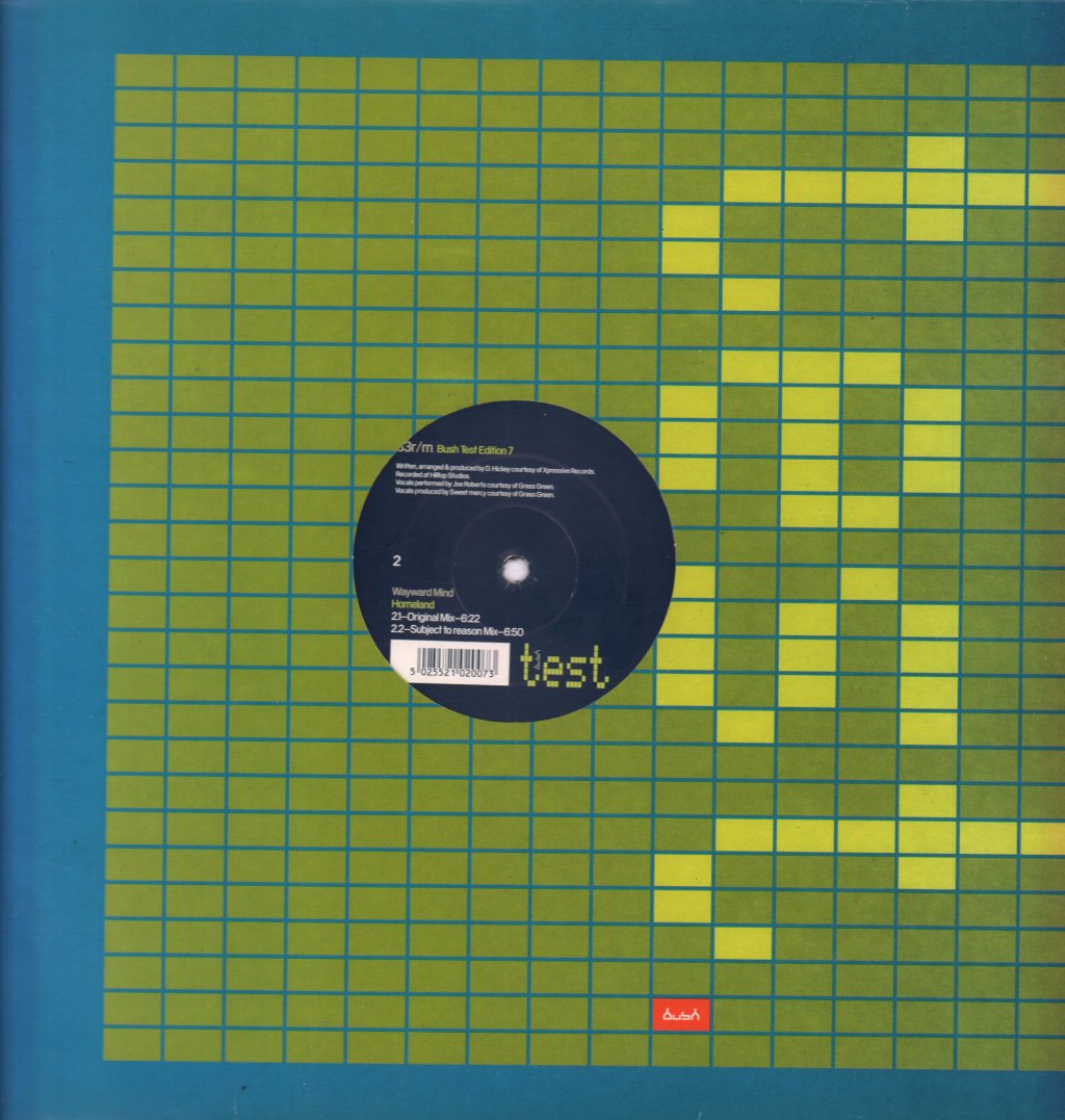 Wayward Mind - Homeland - 12 Inch