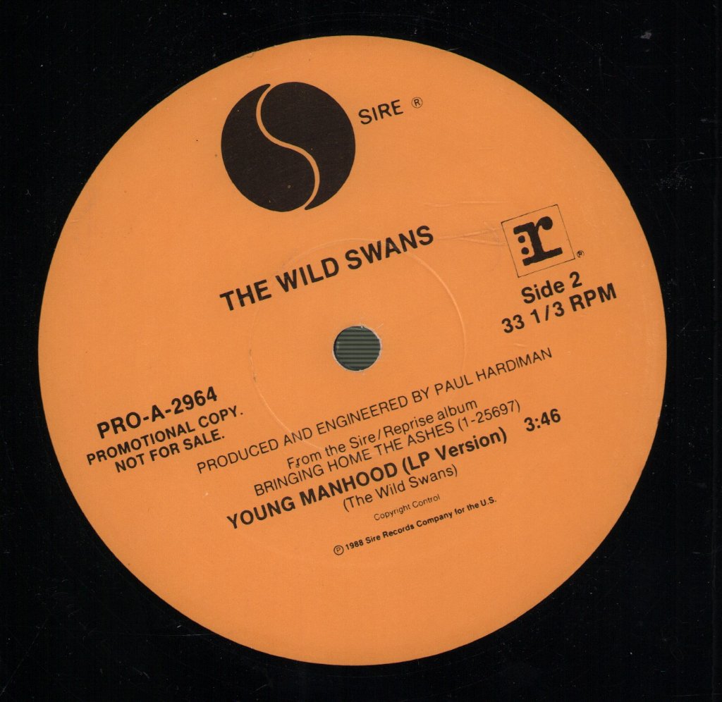 Wild Swans - Young Manhood - 12 Inch